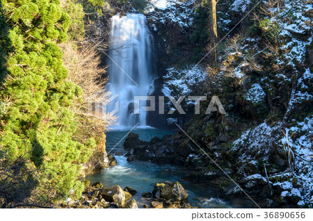 Nao Shirataki Winter Akita Prefecture 36890656
