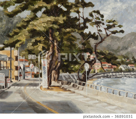 135國道/ Kamitaga附近 135國道/ Kamitaga附近 36891031