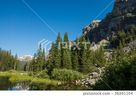  Grand Teton National Park 36891104