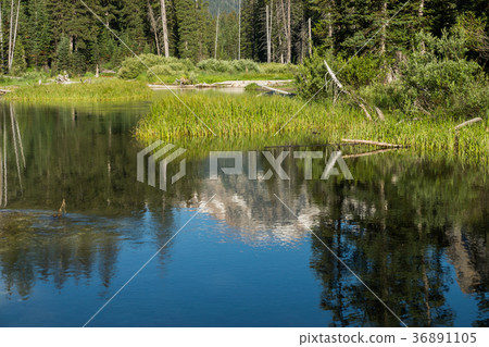  Grand Teton National Park 36891105