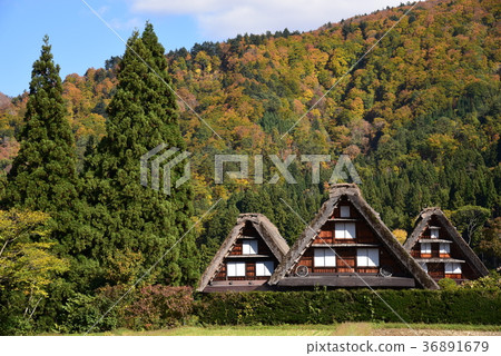 Shirakawago Shirakawago 36891679