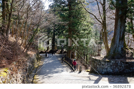 Mountain road in Nikko, Japan Mountain road in Nikko, Japan 36892878