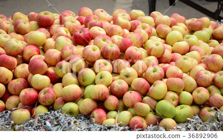 Fresh fruits for sale in Amritsar, India 36892906