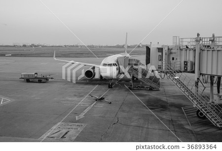 Changi International Airport in Singapore 36893364