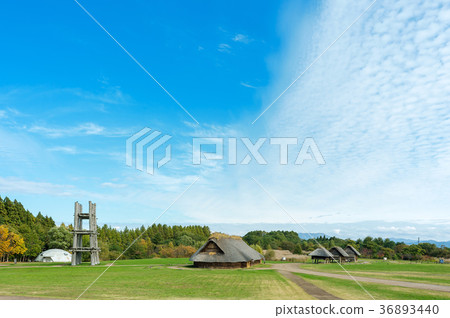 Sannai Maruyama遺址 Sannai Maruyama遺址 36893440