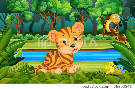 Tiger in the forest Tiger in the forest 36893548