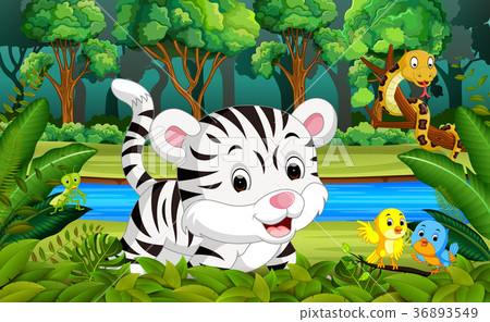White Tiger in the forest White Tiger in the forest 36893549