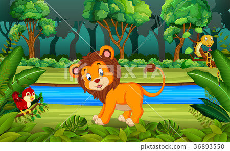 Lion in the forest Lion in the forest 36893550