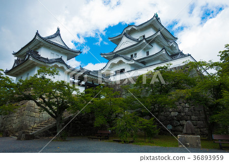 伊賀上野城堡 36893959
