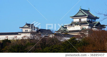 Wakayama Castle Tower Wakayama City, Wakayama Prefecture 36895437