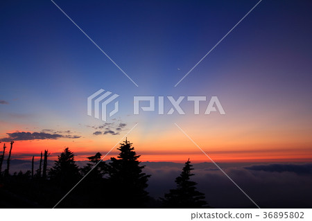 Shibukogen的晨光 Shibukogen的晨光 36895802