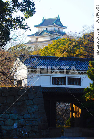 岡口門和歌山城塔和歌山城公園 岡口門和歌山城塔和歌山城公園 36896009