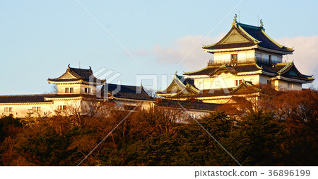 Wakayama Castle Castle Tower Wakayama City, Wakayama Prefecture 36896199