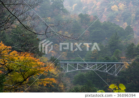 Summata Gorge Hiryu Bridge 36896394