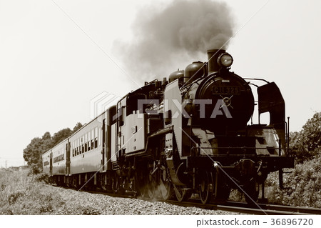 Shino Moka C11 36896720