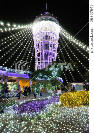 Enoshima Sea Candle和Samuel Cocking Pass的照明 Enoshima Sea Candle和Samuel Cocking Pass的照明 36897642