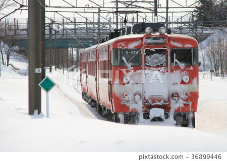 711系列列車S-109編隊 36899446