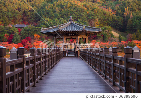 Wolyeonggyo, Wooden bridge Andong, South Korea. 36899690
