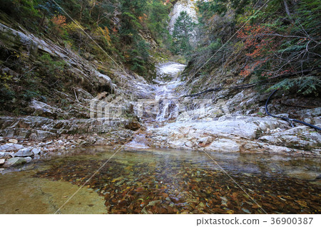 Mugenkei Chiganagetaki, Kumagokogen-cho, Ehime Prefecture 36900387