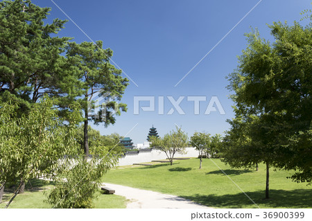 National Museum of Ethnology 36900399