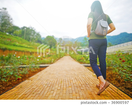 Woman walking on brick pathway in flower garden Woman walking on brick pathway in flower garden 36900597