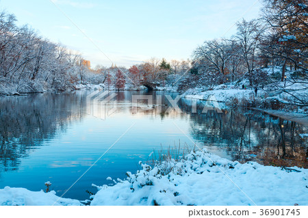 Central Park. New York. USA in winter Central Park. New York. USA in winter 36901745