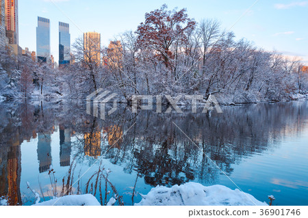 Central Park. New York. USA in winter Central Park. New York. USA in winter 36901746