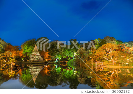 秋葉在日本打開Rikugien 36902182