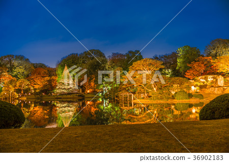 秋葉在日本打開Rikugien 36902183