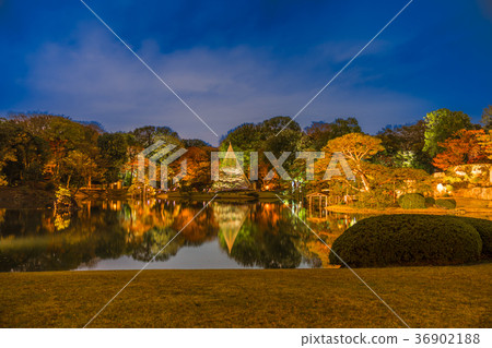 秋葉在日本打開Rikugien 秋葉在日本打開Rikugien 36902188