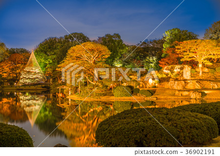 秋葉在日本打開Rikugien 36902191