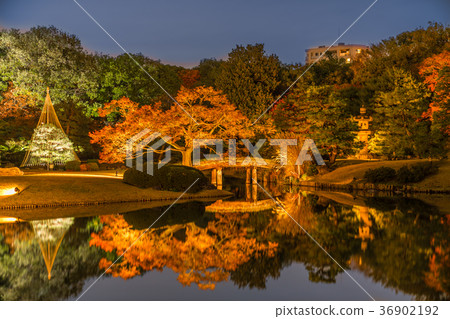 秋葉在日本打開Rikugien 36902192