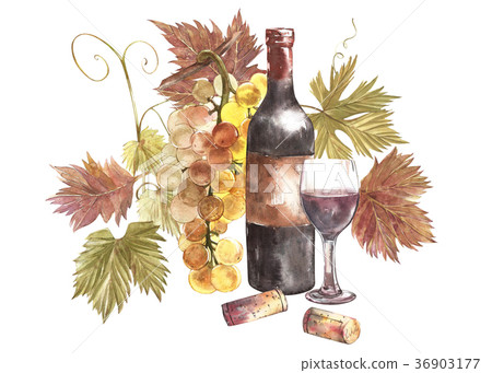 Bottles and glasses of wine and assortment of Bottles and glasses of wine and assortment of 36903177