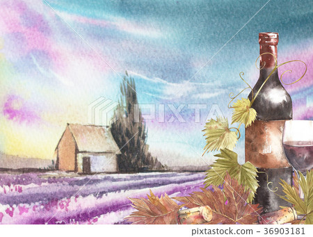 Bottles and leaves of grapes. Background with a Bottles and leaves of grapes. Background with a 36903181