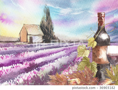 Bottles and leaves of grapes. Background with a Bottles and leaves of grapes. Background with a 36903182