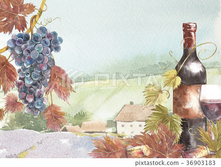 Bottles and leaves of grapes. Background with a Bottles and leaves of grapes. Background with a 36903183