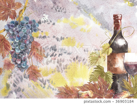 Bottles and leaves of grapes. Background with a Bottles and leaves of grapes. Background with a 36903184