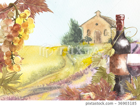 Bottles and leaves of grapes. Background with a Bottles and leaves of grapes. Background with a 36903185