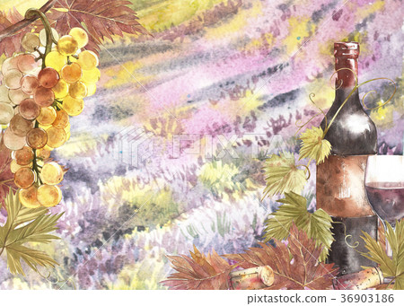 Bottles and leaves of grapes. Background with a Bottles and leaves of grapes. Background with a 36903186