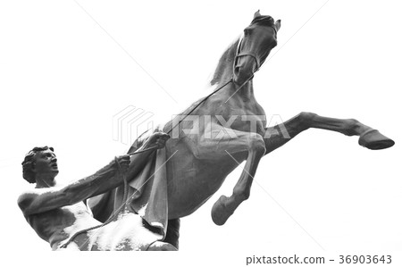 Statue of a horse on the Anichkov Bridge. 36903643