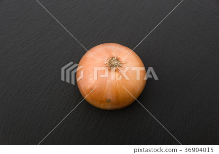 onion  36904015