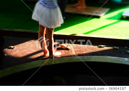 Nagisa水族館 36904197