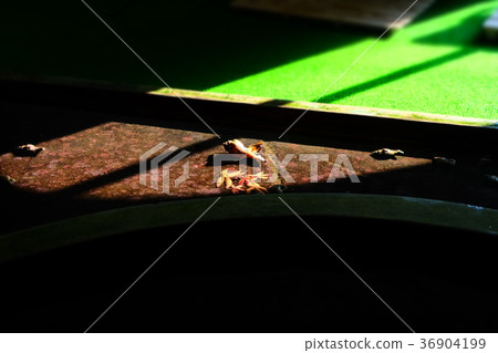 Nagisa水族館 Nagisa水族館 36904199