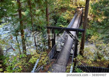 Suspension bridge in the Aji Valley 36904407