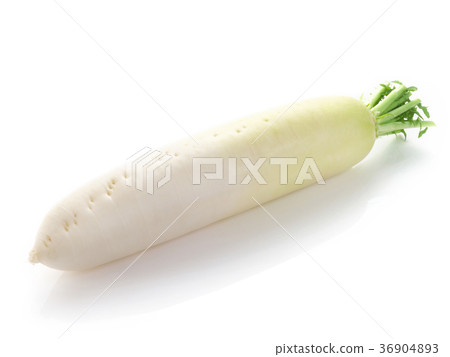 Japanese radish Japanese radish 36904893