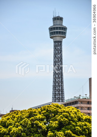 Yokohama Marine Tower 36904966