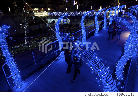 Taichung Yanagawa Christmas illuminations Taichung Yanagawa Christmas illuminations 36905113