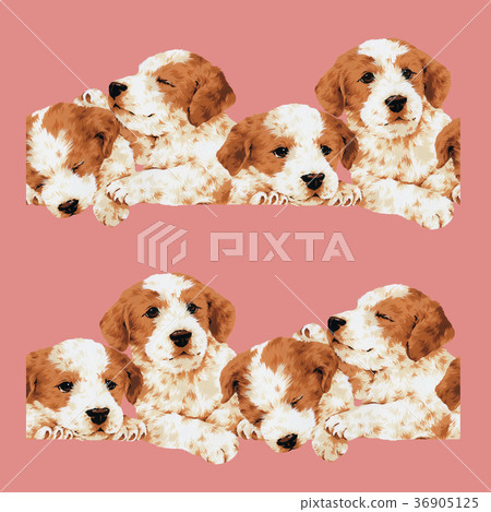 Pretty dog 36905125