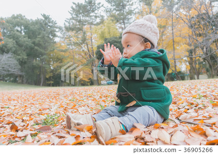 1 year old, younger, person 36905266