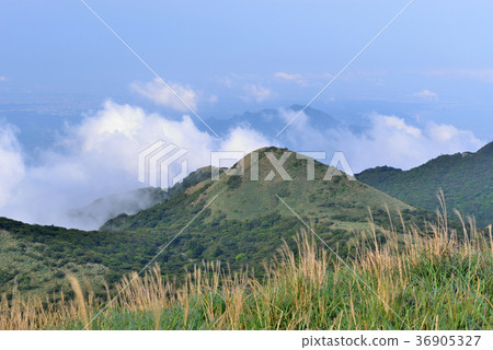 臺灣,台北市,陽明山,陽明山國家公園,芒草,芒花,草,山,盆地,大屯山,雲 36905327